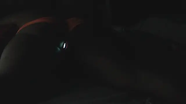 SashaBrianna99 webcam