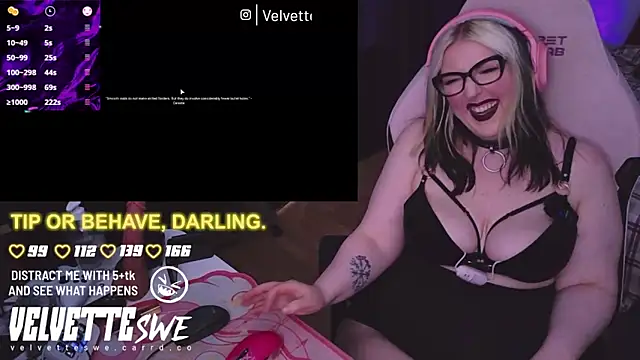 VelvetteSWE webcam