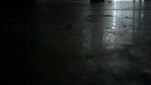 SirFrankonde webcam