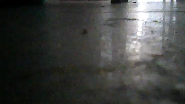 SirFrankonde webcam