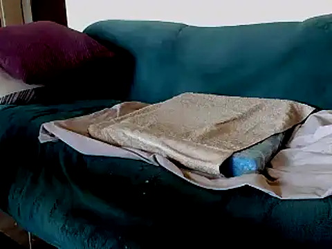bodo1957 (M grandpa) - #big-balls #bottom #brunettes #cam2cam #cheap-privates #cuckold #ejaculation #european #gays #german #grandpas #jerk-off-instruction #masturbation #medium #new #orgasm #power-bottom #recordable-privates #recordable-publics #small-audience #smoking #trimmed #uncut #white