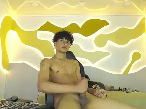 BlakeSttone webcam