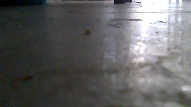 SirFrankonde webcam