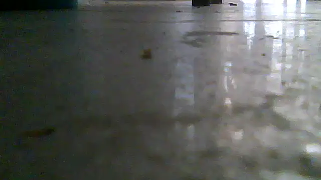SirFrankonde webcam