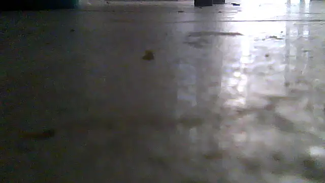 SirFrankonde webcam