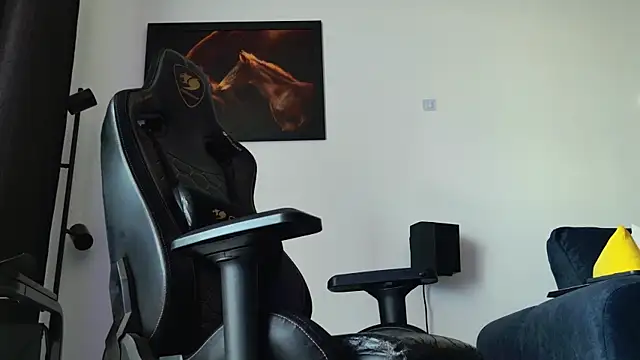 ChrisKox webcam