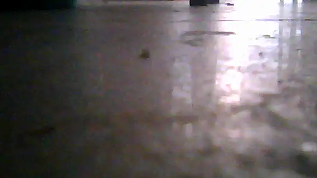 SirFrankonde webcam