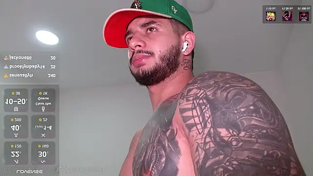 king_falconer live cam