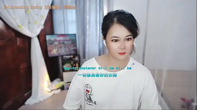 Fan_ting webcam