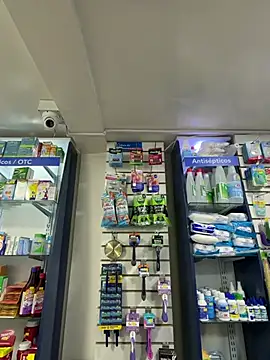 roouse live cam