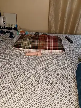 firewaist webcam