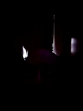 medioarabemediogypsi webcam