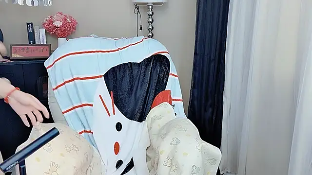 CeeKie webcam
