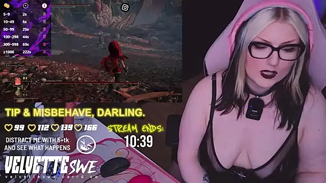 VelvetteSWE webcam
