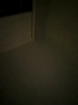 emr077 webcam