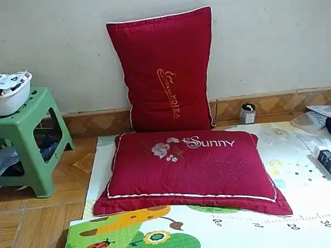 -Mimiu- webcam