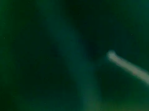 thickbullet live webcam show