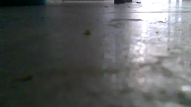 SirFrankonde webcam