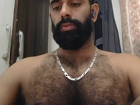 indianhairybull