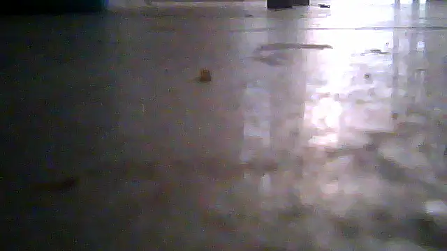 SirFrankonde webcam