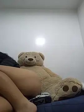sivi22 webcam