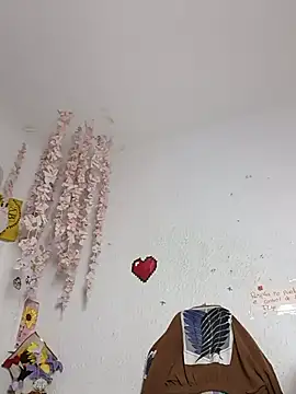 Kuutar webcam