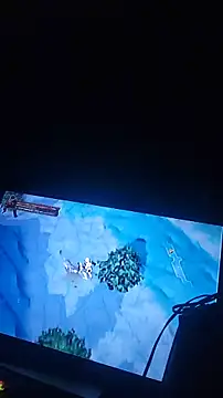 ZeldaSneakyLink