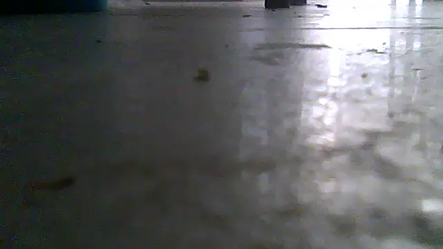 SirFrankonde webcam