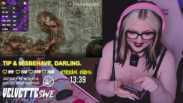 VelvetteSWE webcam