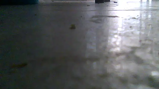 SirFrankonde webcam