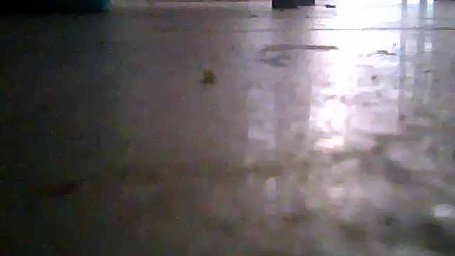 SirFrankonde webcam
