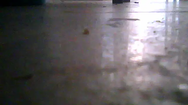 SirFrankonde webcam