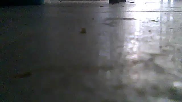 SirFrankonde webcam