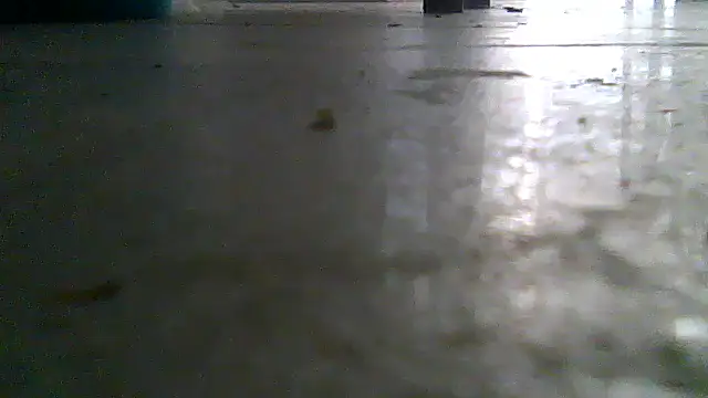 SirFrankonde webcam