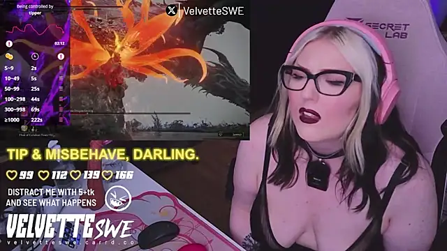 VelvetteSWE webcam
