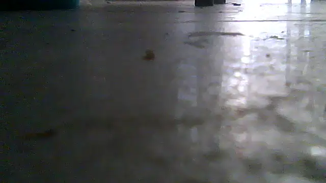 SirFrankonde webcam