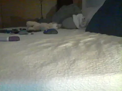 Silencio26 webcam