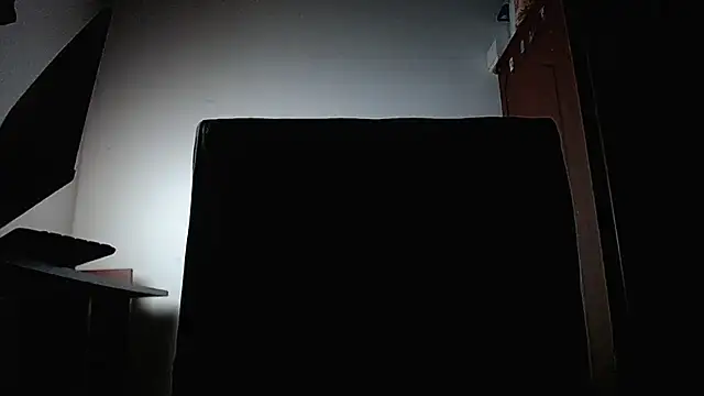 bulguehot webcam