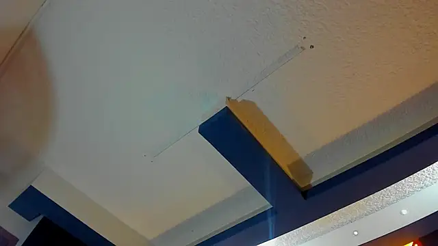allison_mc webcam