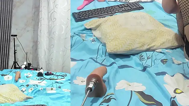 sofi_boll25 webcam