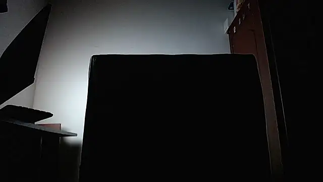 bulguehot webcam