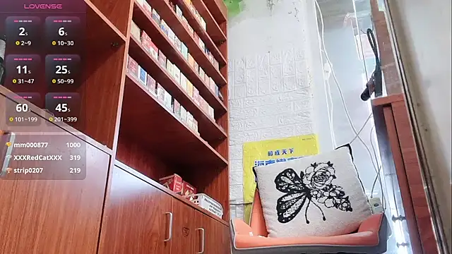 Maneki-nekoo webcam
