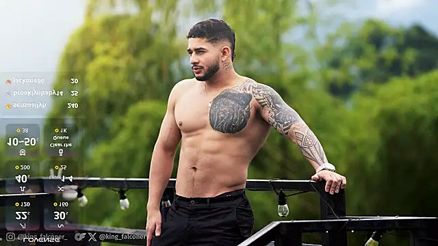 king_falconer live webcam show