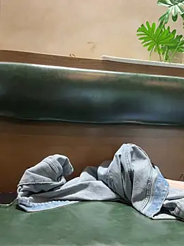 Aiko---- webcam
