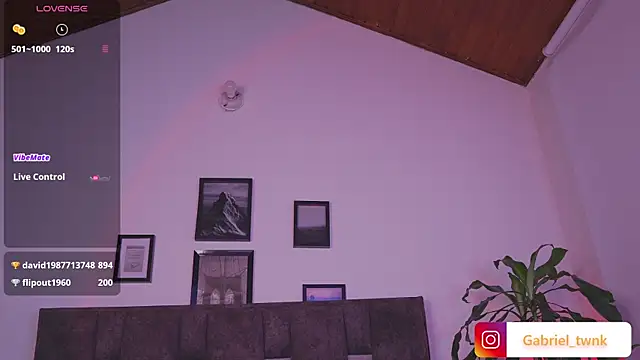I_Gabriel webcam