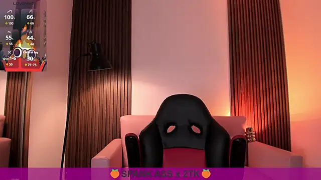 MAGIC_VERA webcam