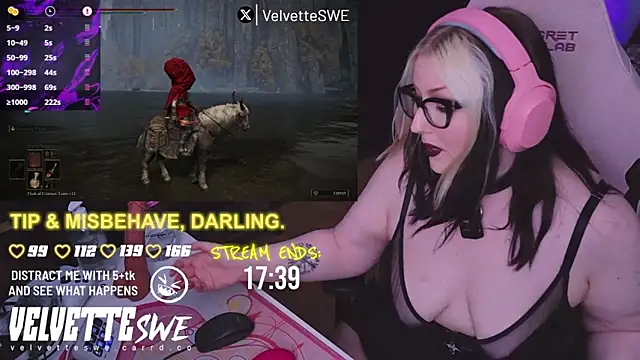 VelvetteSWE webcam