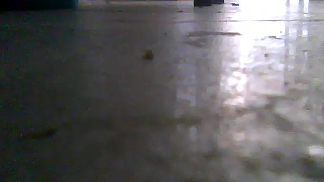 SirFrankonde webcam