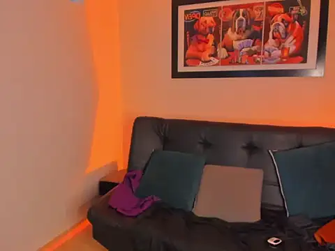 Master_Orioon webcam