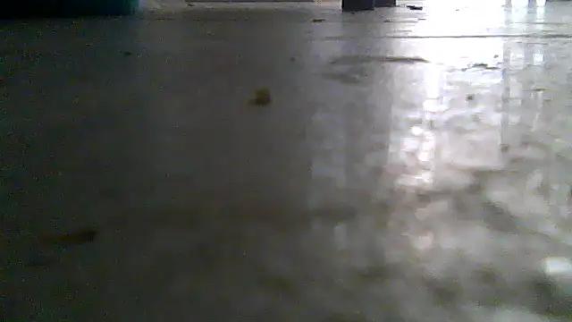 SirFrankonde webcam